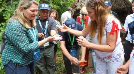 APICULTURA, TRADICIÓN MILENARIA