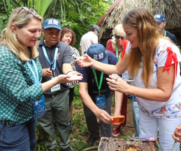 APICULTURA, TRADICIÓN MILENARIA