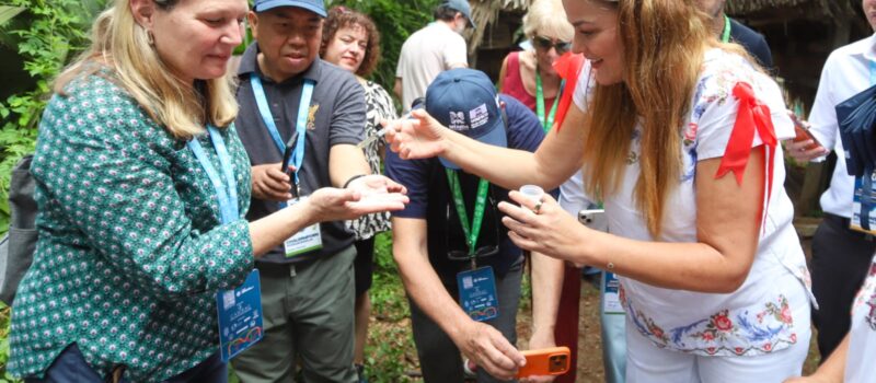 APICULTURA, TRADICIÓN MILENARIA