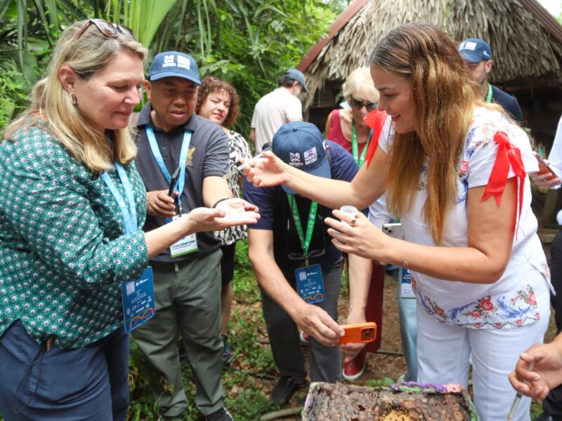 APICULTURA, TRADICIÓN MILENARIA