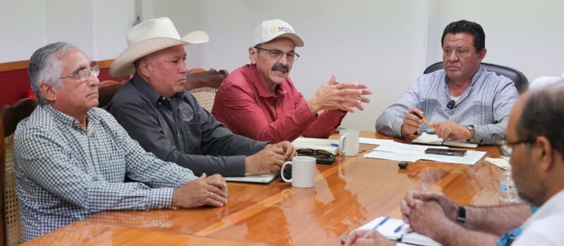 CIERRAN FILAS CONTRA EL GUSANO BARRENADOR