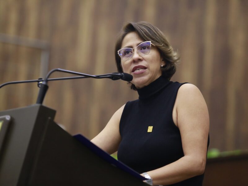 DIPUTADA EXIGE MÁS ATENCION A LA NIÑES