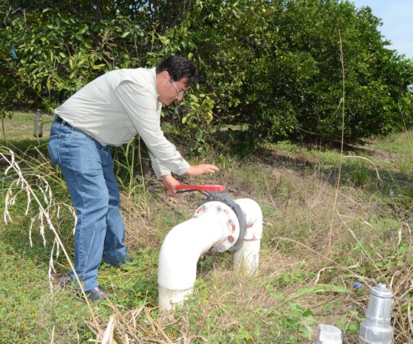 SE EXTIENDE EL PLAZO DE ATENCIÓN EN VENTANILLAS