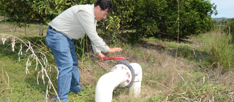 SE EXTIENDE EL PLAZO DE ATENCIÓN EN VENTANILLAS