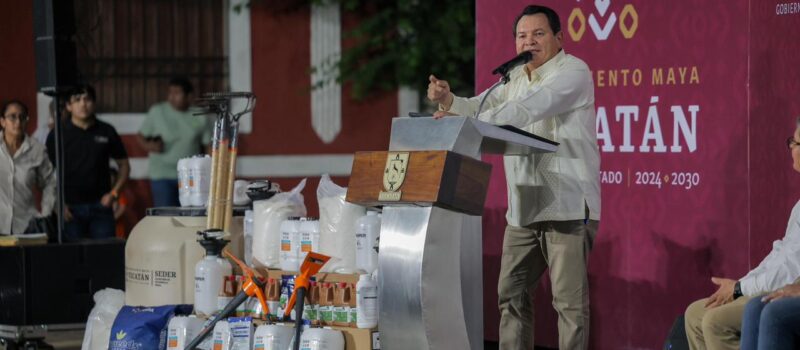 HUERTOS DE TRASPATIO PARA EL BIENESTAR EN TIXMÉHUAC