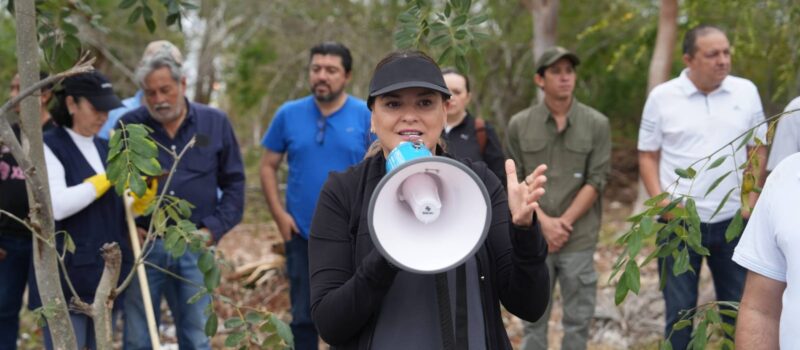 LAS Y LOS MERIDANOS CUIDAN Y MEJORAN SU CIUDAD:CPL