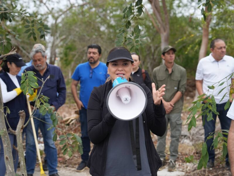 LAS Y LOS MERIDANOS CUIDAN Y MEJORAN SU CIUDAD:CPL