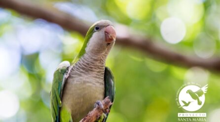 PROYECTO SANTA MARIA PRESENTA RESULTADOS