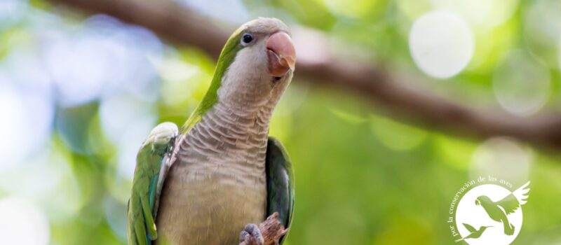 PROYECTO SANTA MARIA PRESENTA RESULTADOS