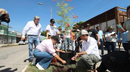 ESTAMOS CONSTRUYENDO UNA CIUDAD ECOLÓGICA: CPL