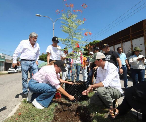 ESTAMOS CONSTRUYENDO UNA CIUDAD ECOLÓGICA: CPL