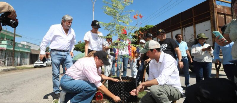 ESTAMOS CONSTRUYENDO UNA CIUDAD ECOLÓGICA: CPL