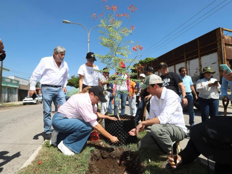 ESTAMOS CONSTRUYENDO UNA CIUDAD ECOLÓGICA: CPL
