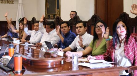 DENUNCIAN INCAPACIDAD Y OPACIDAD EN COMUNA MERIDANA