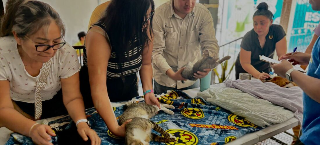 BIENESTAR ANIMAL EN EL FRACCIONAMIENTO DEL SUR