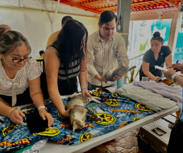 BIENESTAR ANIMAL EN EL FRACCIONAMIENTO DEL SUR