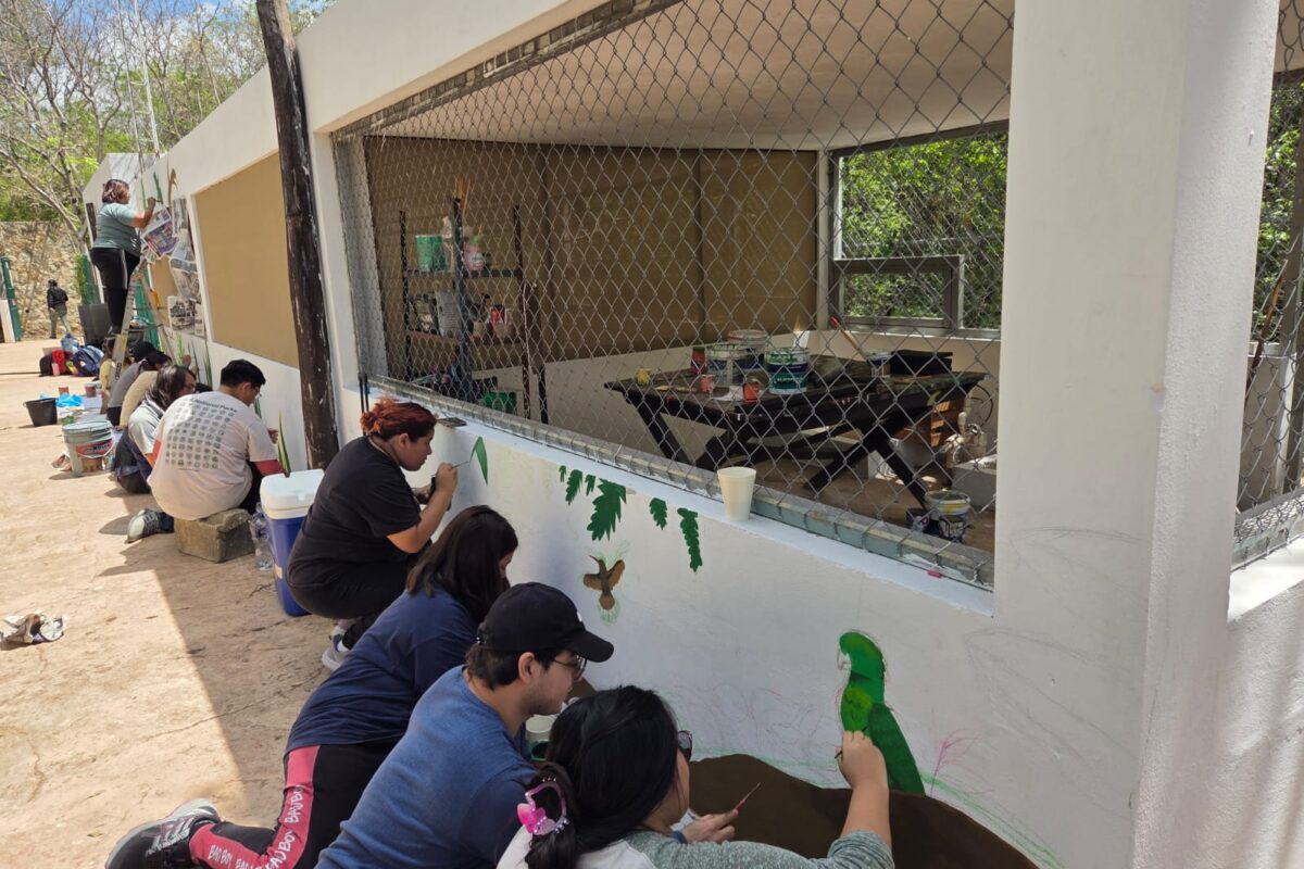 JÓVENES RESPONDEN AL LLAMADO EN FAVOR DE LOS LOROS