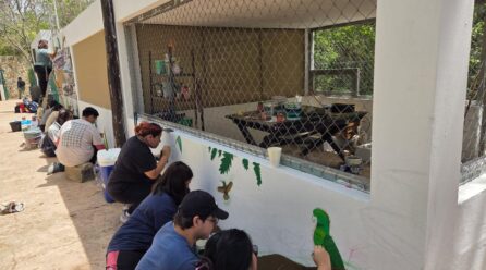 JÓVENES RESPONDEN AL LLAMADO EN FAVOR DE LOS LOROS