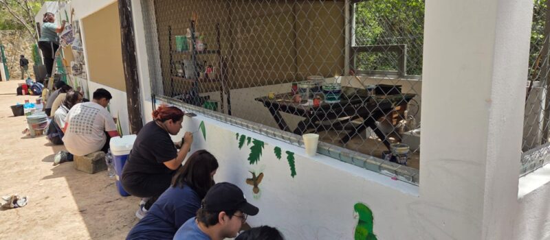 JÓVENES RESPONDEN AL LLAMADO EN FAVOR DE LOS LOROS
