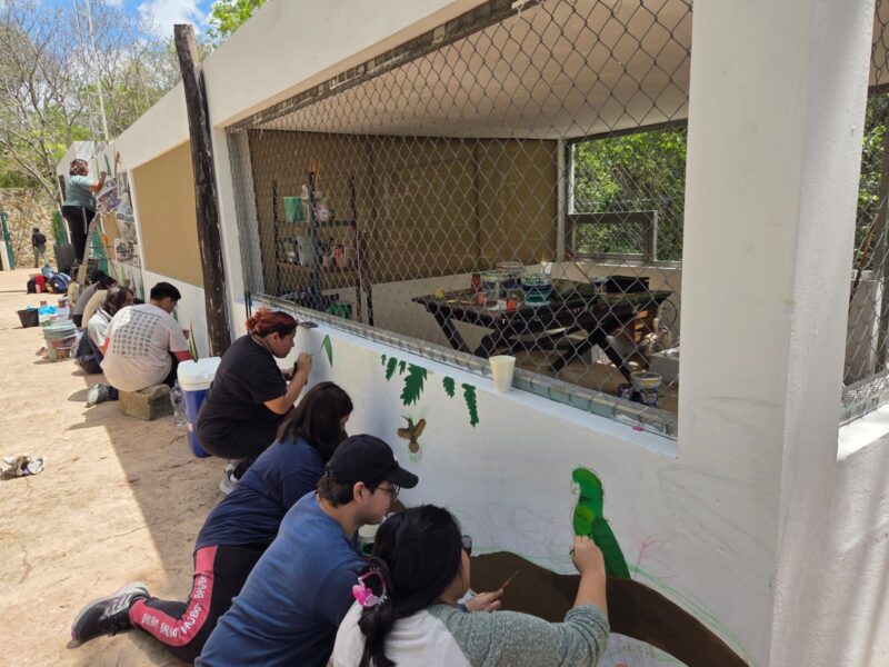 JÓVENES RESPONDEN AL LLAMADO EN FAVOR DE LOS LOROS