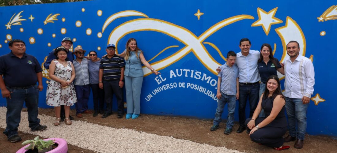 CENSO CASA POR CASA PARA DETECTAR AUTISMO