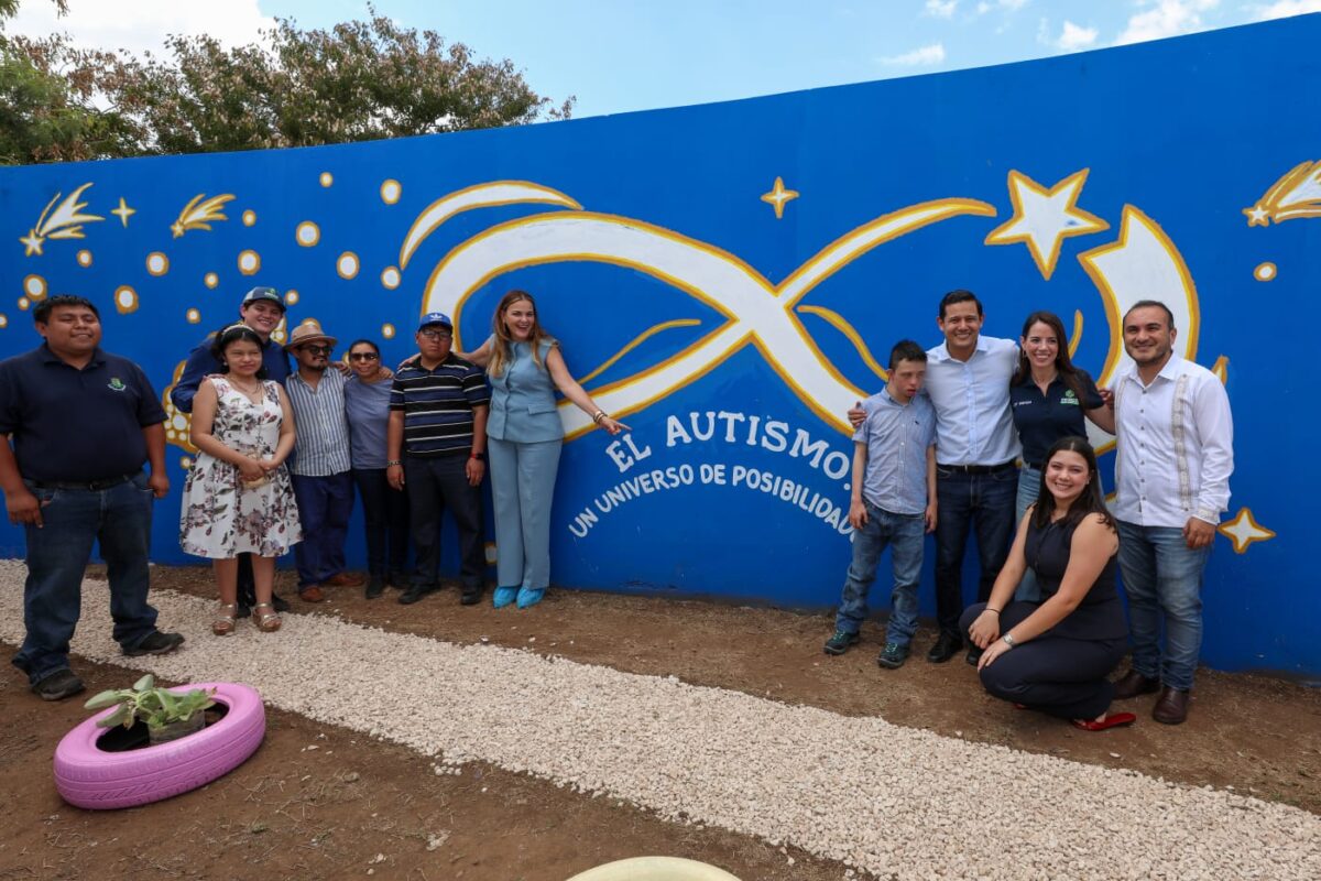 CENSO CASA POR CASA PARA DETECTAR AUTISMO