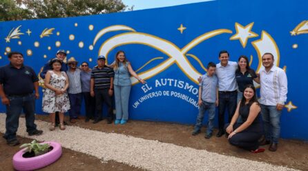 CENSO CASA POR CASA PARA DETECTAR AUTISMO