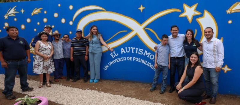CENSO CASA POR CASA PARA DETECTAR AUTISMO