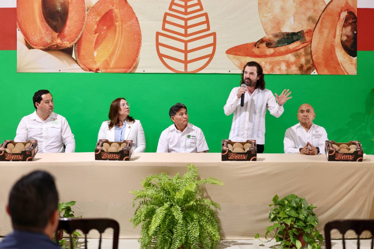 MAMEY YUCATECO AL REINO UNIDO