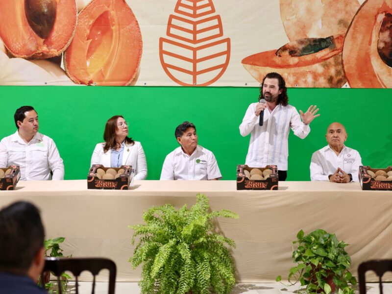 MAMEY YUCATECO AL REINO UNIDO