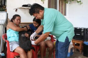 MASCOTAS MÁS SANAS Y MÁS FELICES