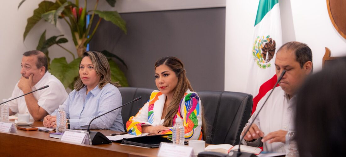 REALIZA DIF PRIMERA MESA INTERINSTITUCIONAL