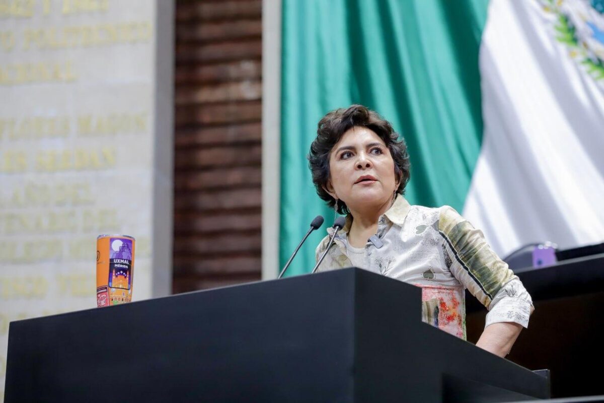 ESTAMOS VOTANDO UNA REFORMA ADMINISTRATIVA:IOP