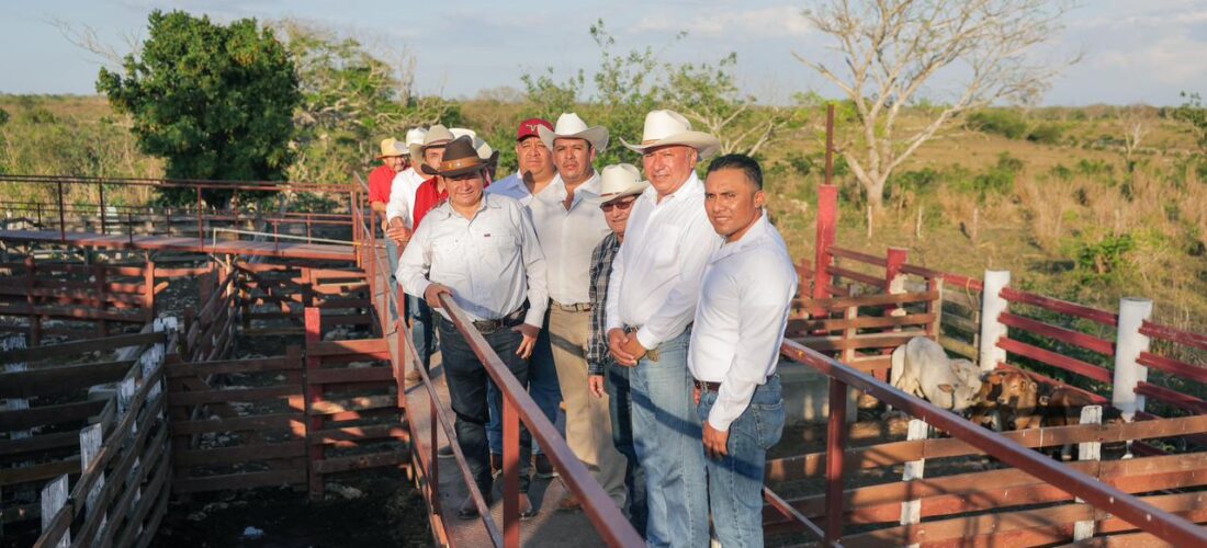 RENACIMIENTO MAYA DIGNIFICA EL CAMPO YUCATECO