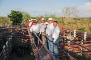 RENACIMIENTO MAYA DIGNIFICA EL CAMPO YUCATECO