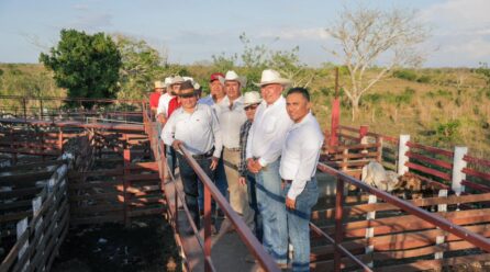 RENACIMIENTO MAYA DIGNIFICA EL CAMPO YUCATECO