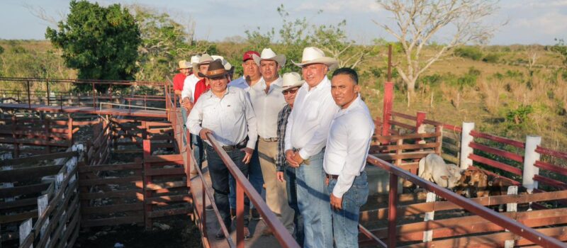 RENACIMIENTO MAYA DIGNIFICA EL CAMPO YUCATECO
