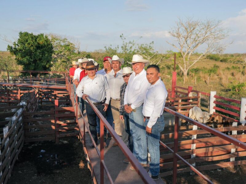 RENACIMIENTO MAYA DIGNIFICA EL CAMPO YUCATECO
