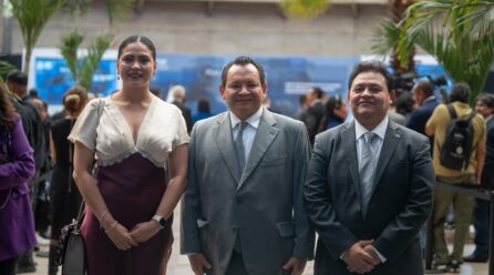 COORDINACIÓN PARA LA PROCURACIÓN DE JUSTICIA
