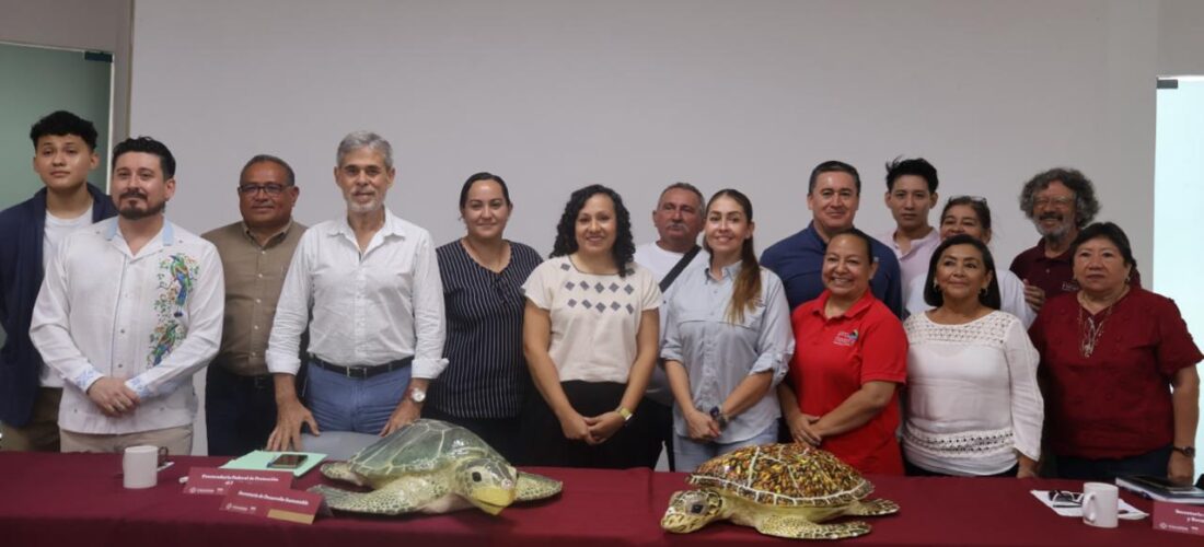 EN YUCATÁN SE PROTEGE A LA TORTUGA MARINA