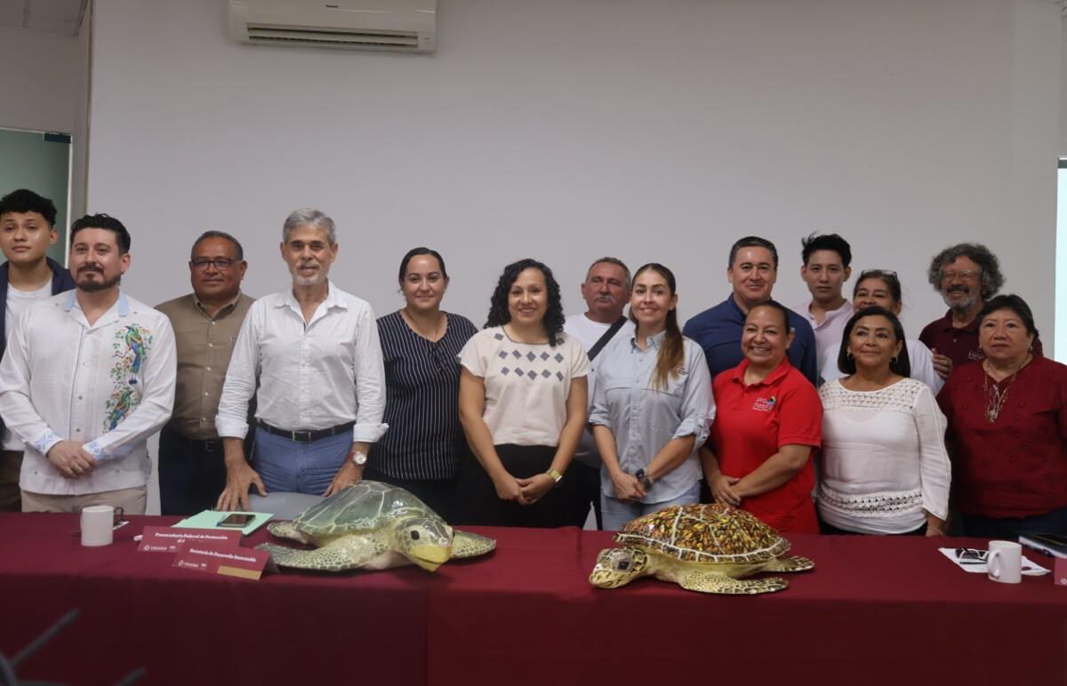 EN YUCATÁN SE PROTEGE A LA TORTUGA MARINA