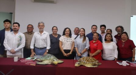 EN YUCATÁN SE PROTEGE A LA TORTUGA MARINA