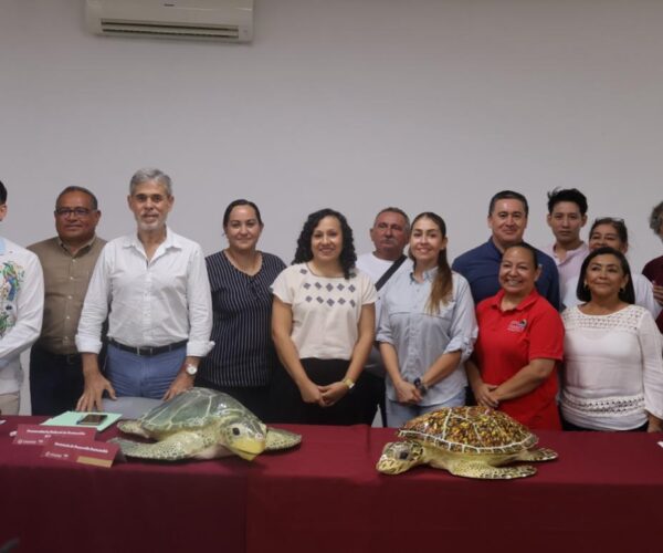 EN YUCATÁN SE PROTEGE A LA TORTUGA MARINA