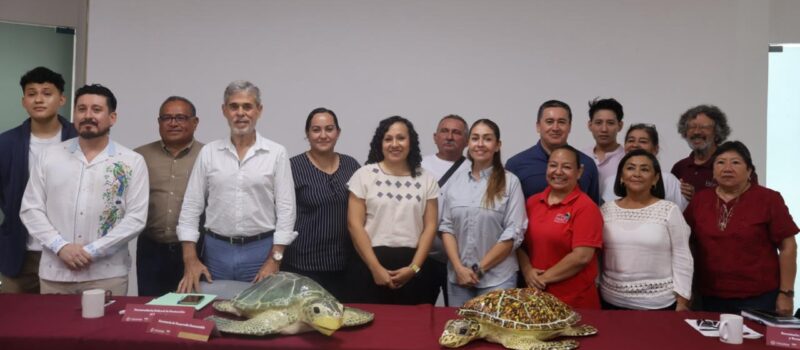 EN YUCATÁN SE PROTEGE A LA TORTUGA MARINA