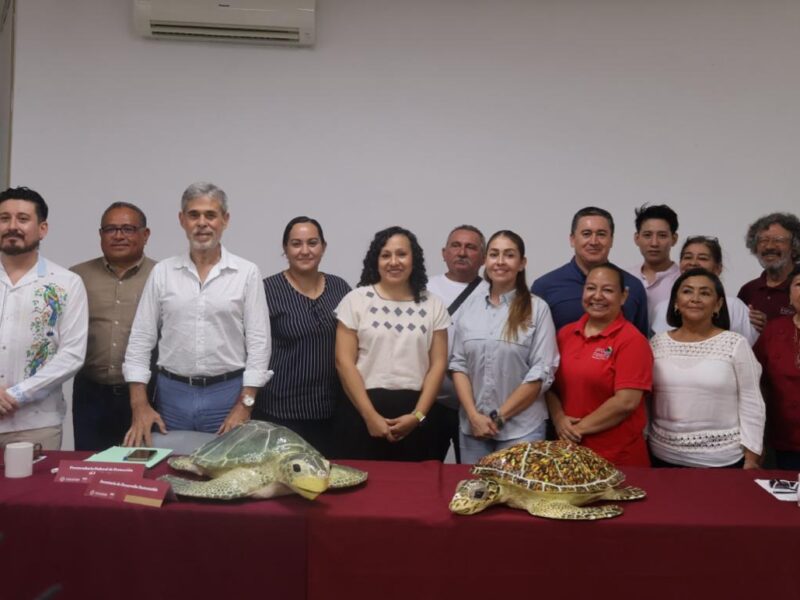 EN YUCATÁN SE PROTEGE A LA TORTUGA MARINA