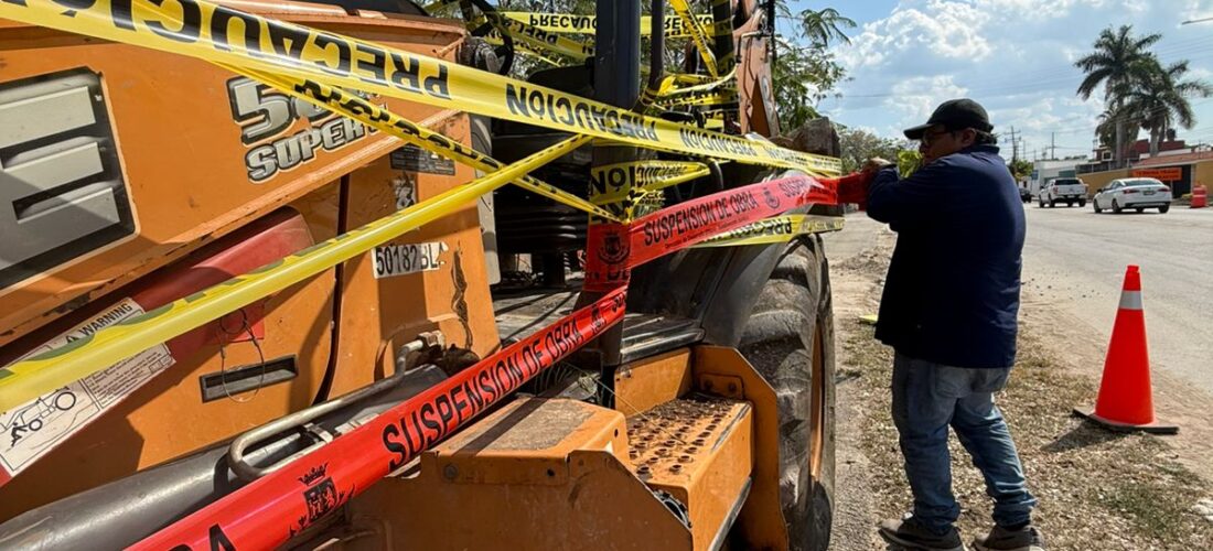 REPORTE CIUDADANO IMPIDE PODA DE ÁRBOLES