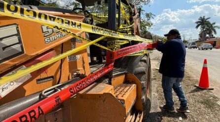 REPORTE CIUDADANO IMPIDE PODA DE ÁRBOLES