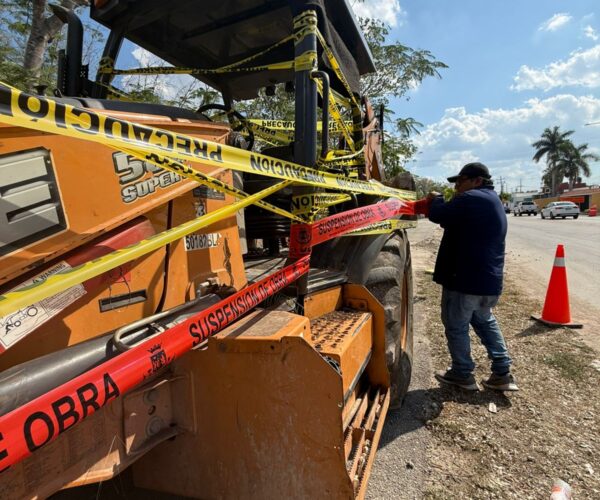 REPORTE CIUDADANO IMPIDE PODA DE ÁRBOLES