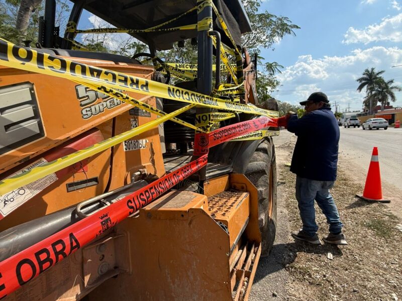 REPORTE CIUDADANO IMPIDE PODA DE ÁRBOLES