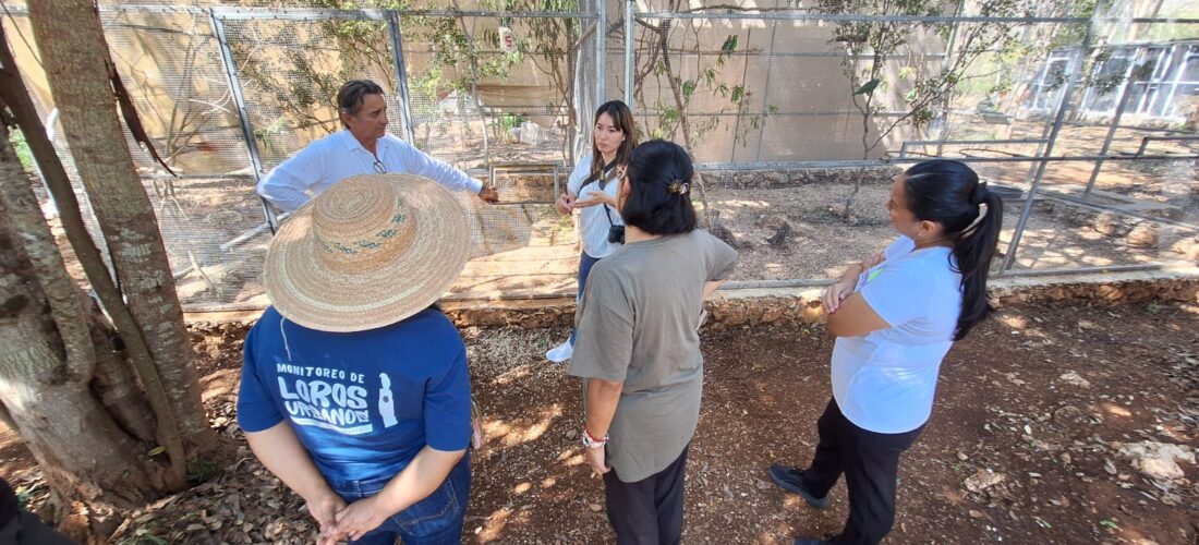 WORLD PARROT TRUST RECONOCE EL TRABAJO DE PROYECTO SANTA MARÍA